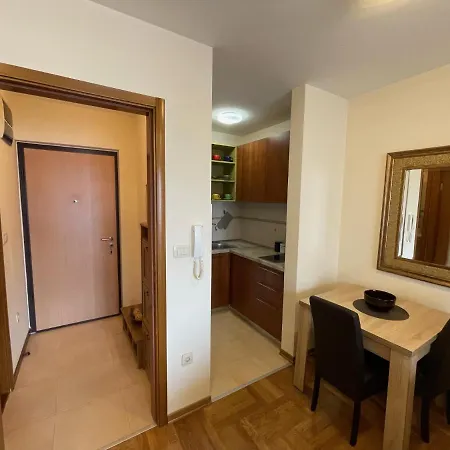 Exclusive Studio, Great Location 公寓 波德戈里察